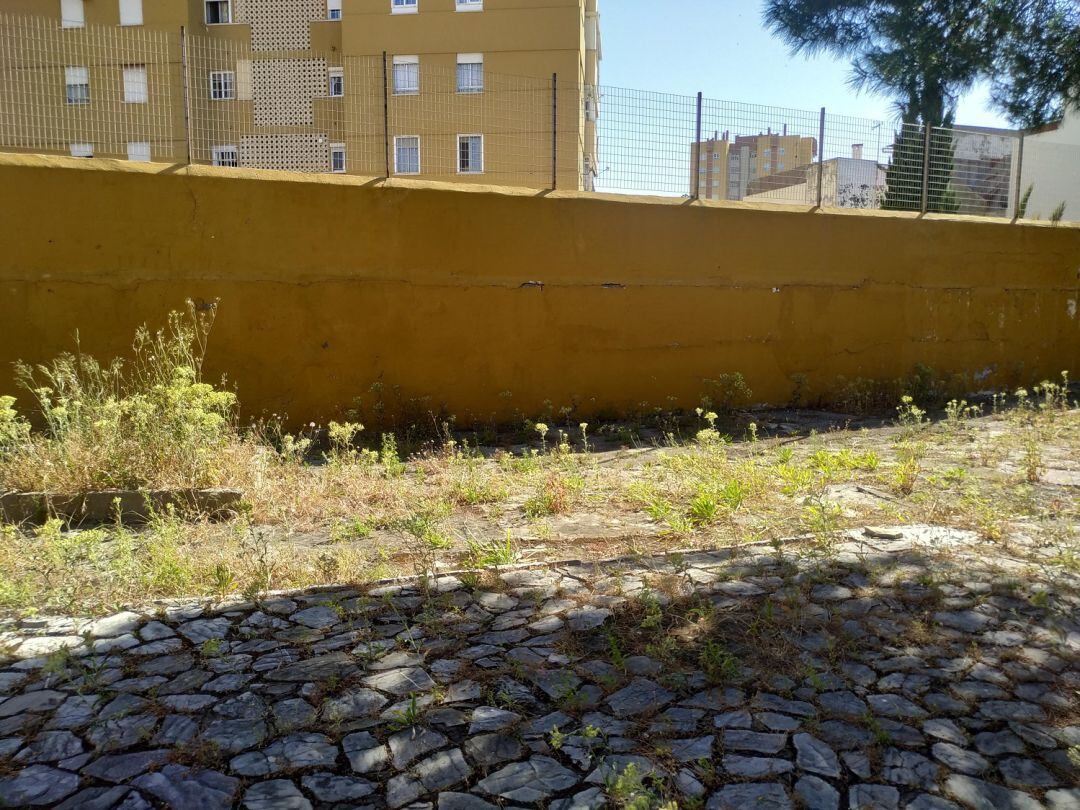 Patio del Colegio Campo de Gibraltar.