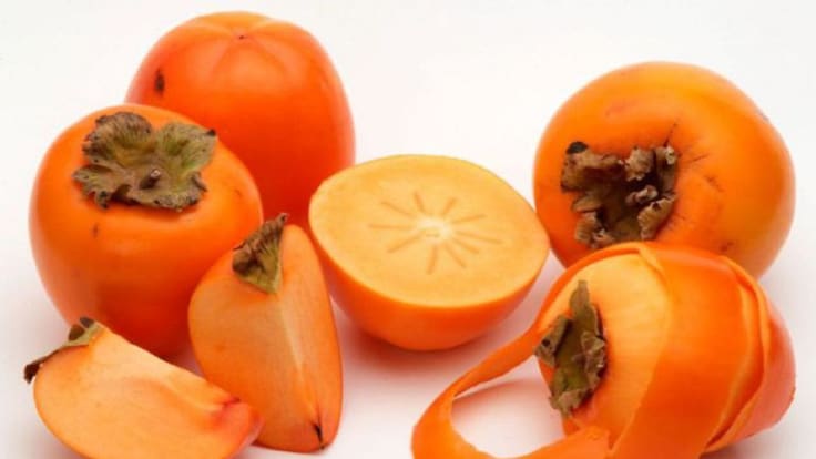 La llavor (06/10/2018)