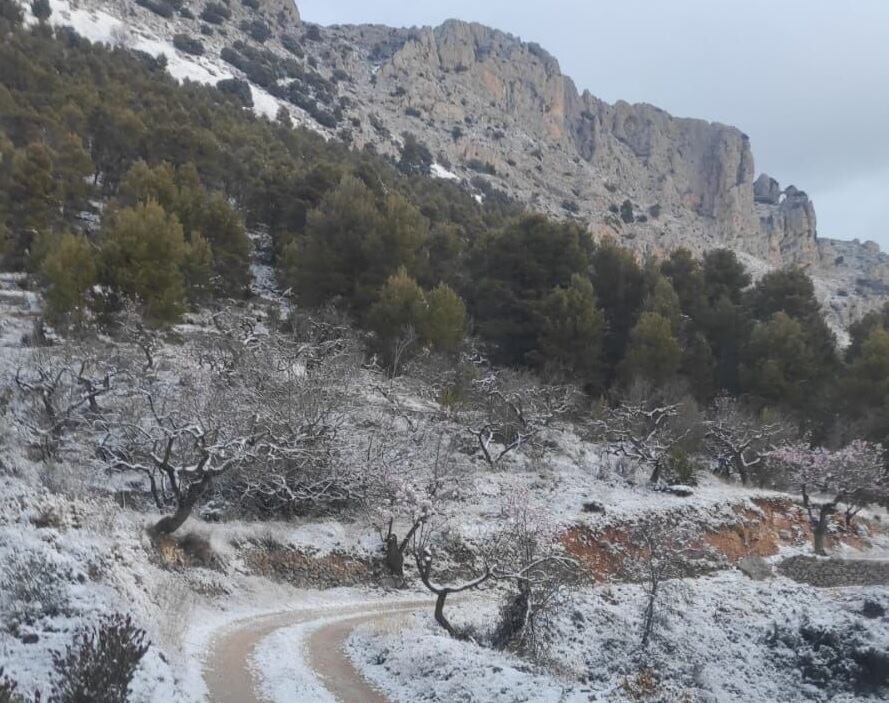 La Serrella este jueves cubierta de blanco