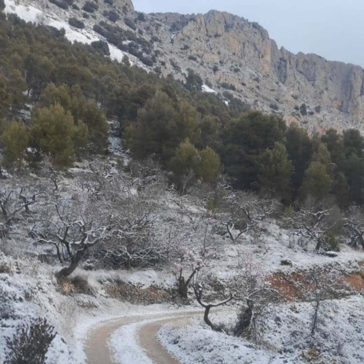 El frío y la leve precipitación deja un fino manto blanco en las cumbres de L’Alcoià y El Comtat