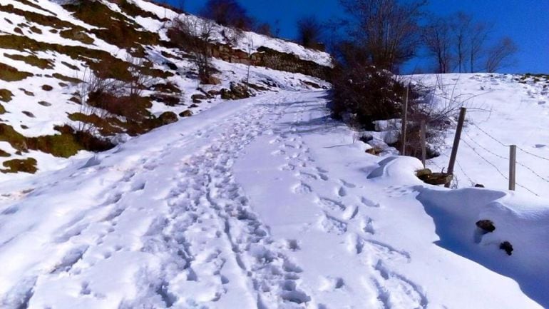 Imagen de Brañosera en Palencia