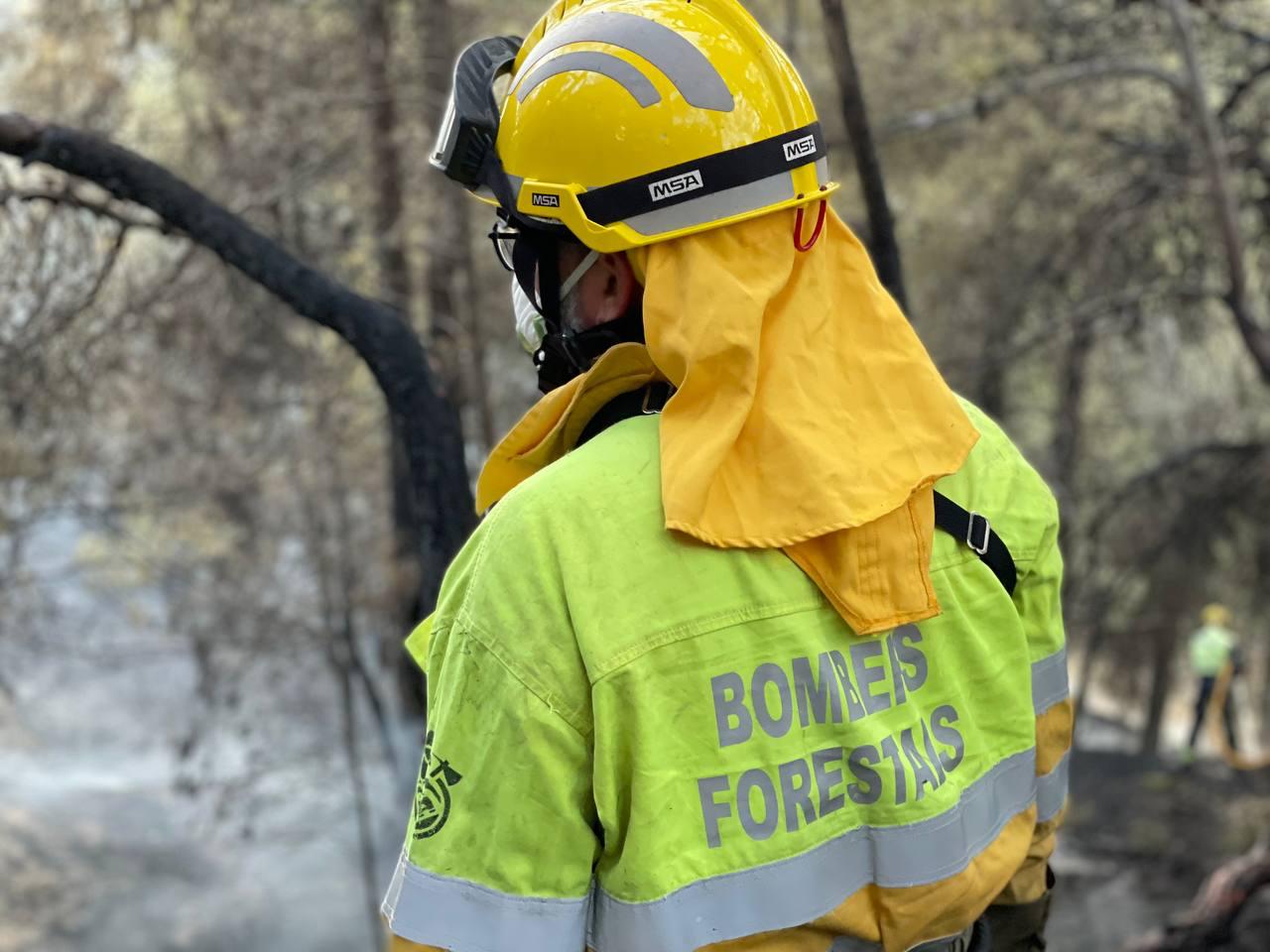 Bomberos forestales