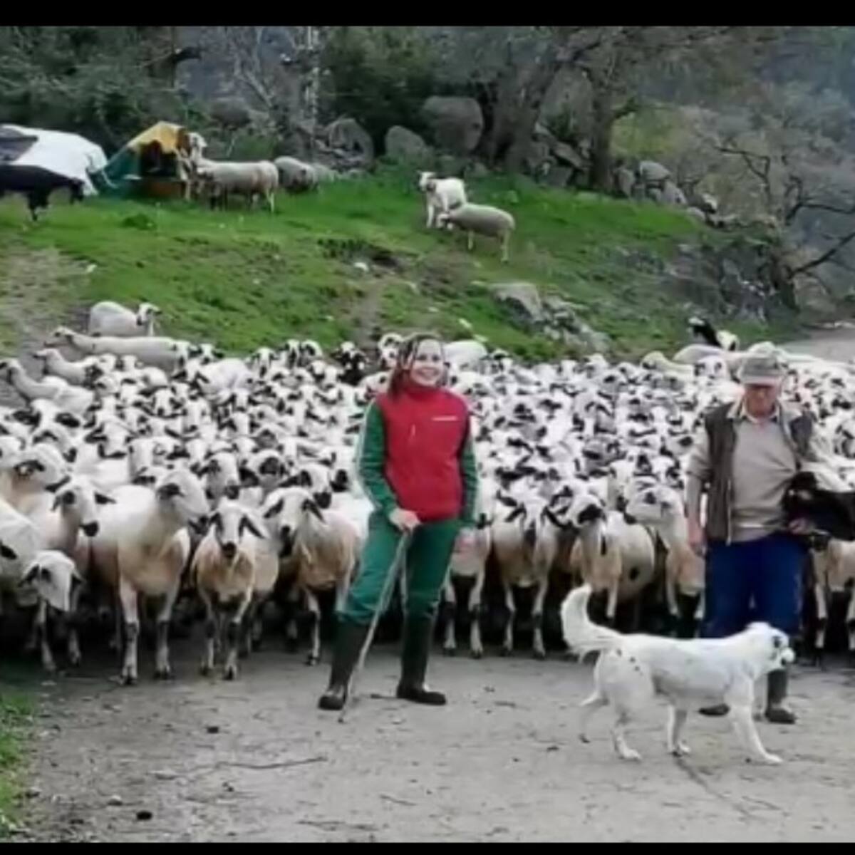 Las gentes, los paisajes y la forma de vida de Montanuy en imágenes