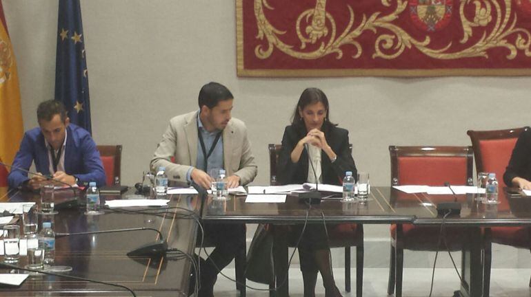 La consejera de Turismo, Teresa Lorenzo durante la comisión en el Parlamento de Canarias. 