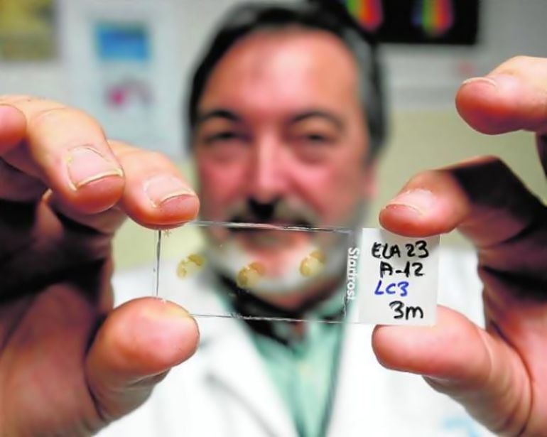 Salvador Martínez, director del Instituto Neurociencias (UMH-CSIC)