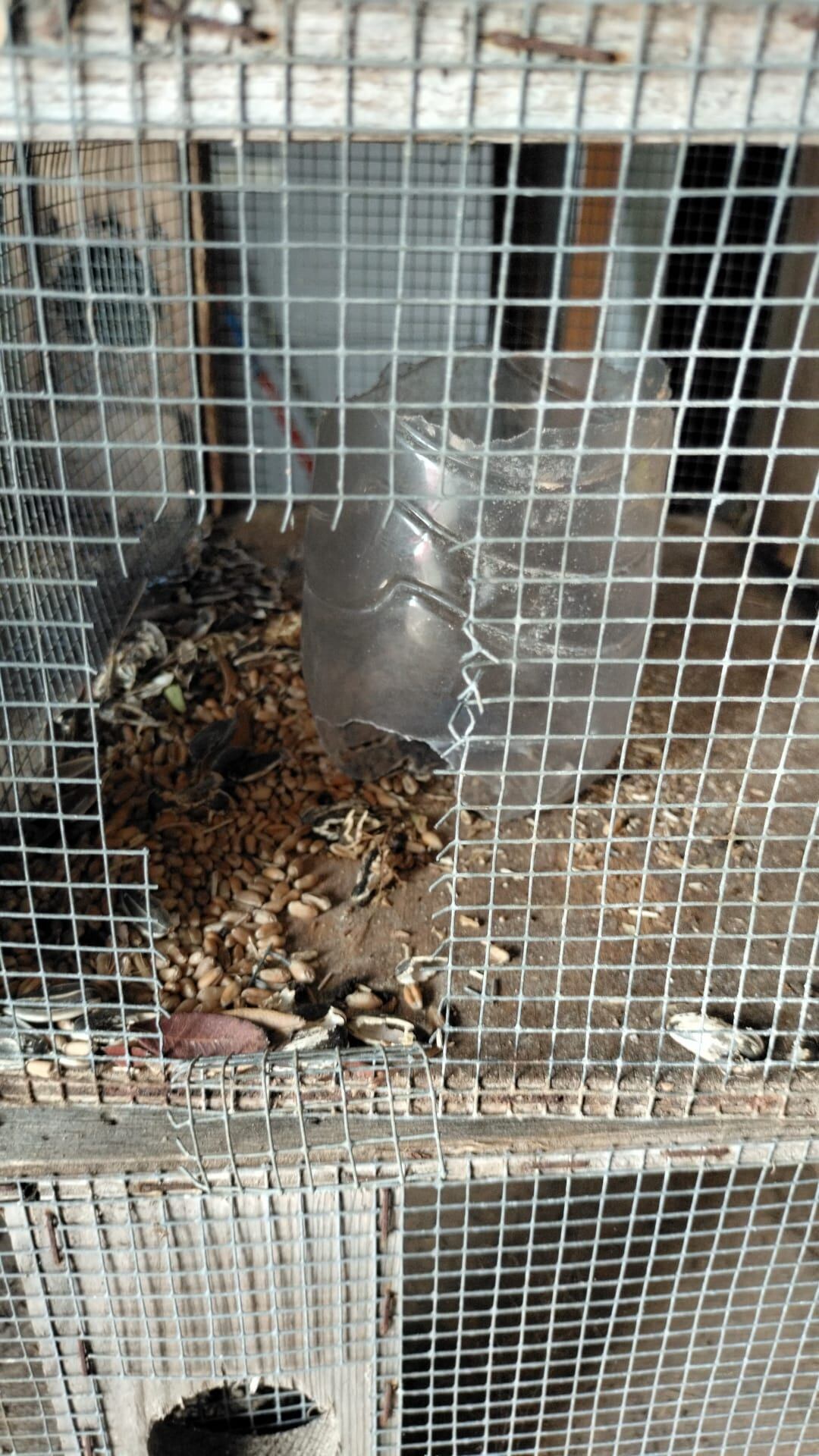 Imagen de una de las trampas rotas