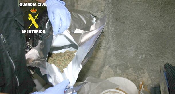 Marihuana en el interior de uno de los sobres incautados