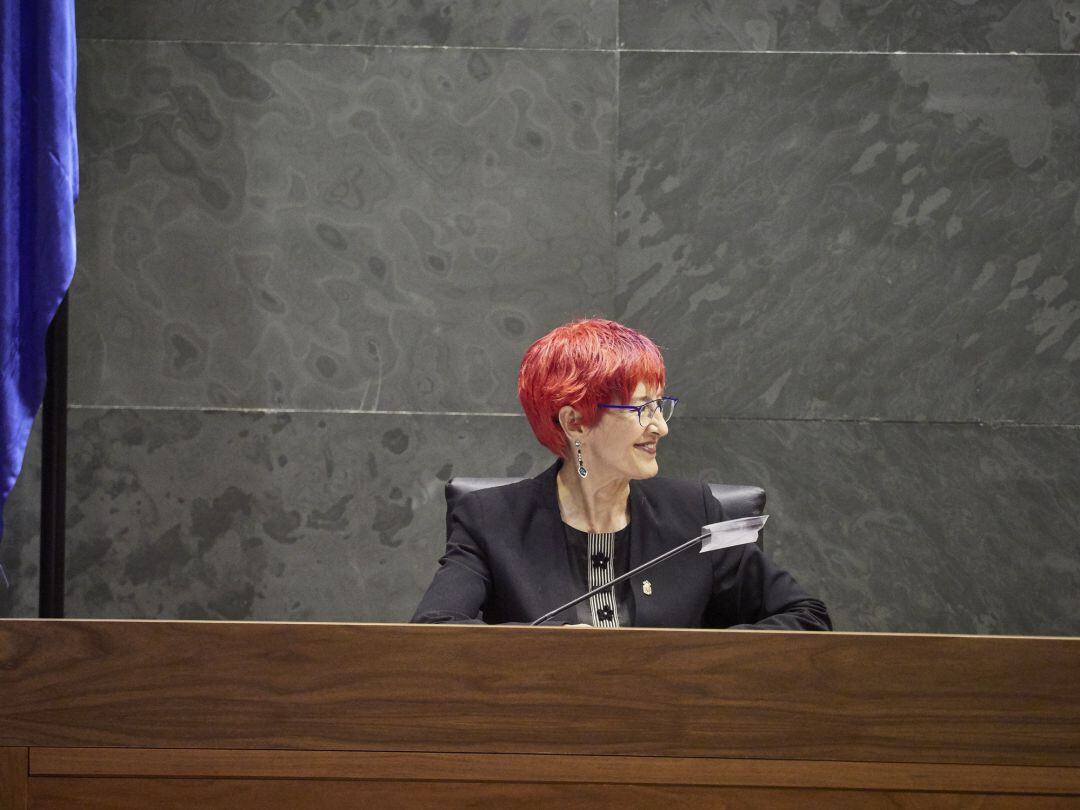 La consejera de Salud del Gobierno Foral, Santos Induráin, minutos antes de comenzar la Comisión de Salud