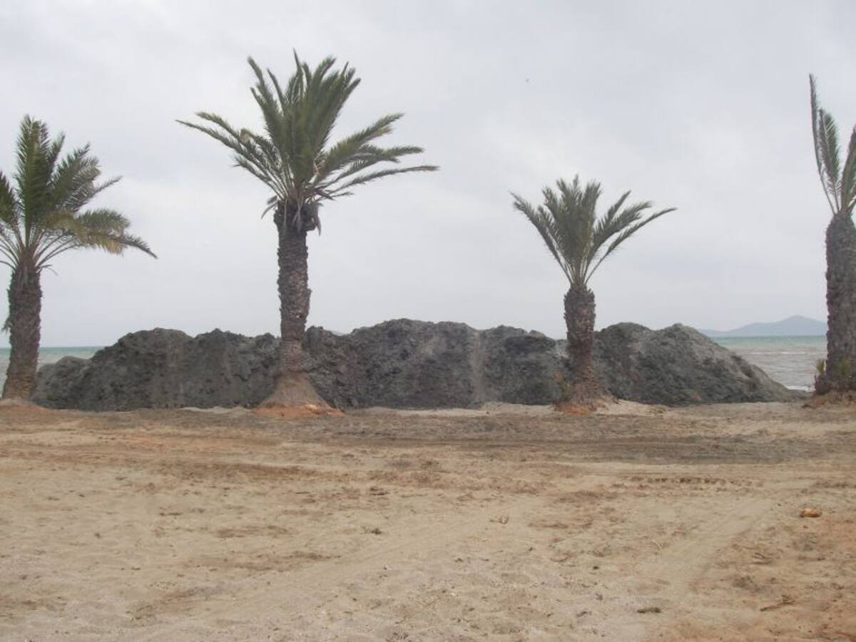 Luengo: "El agua verde no la hemos inventado los ecologistas"