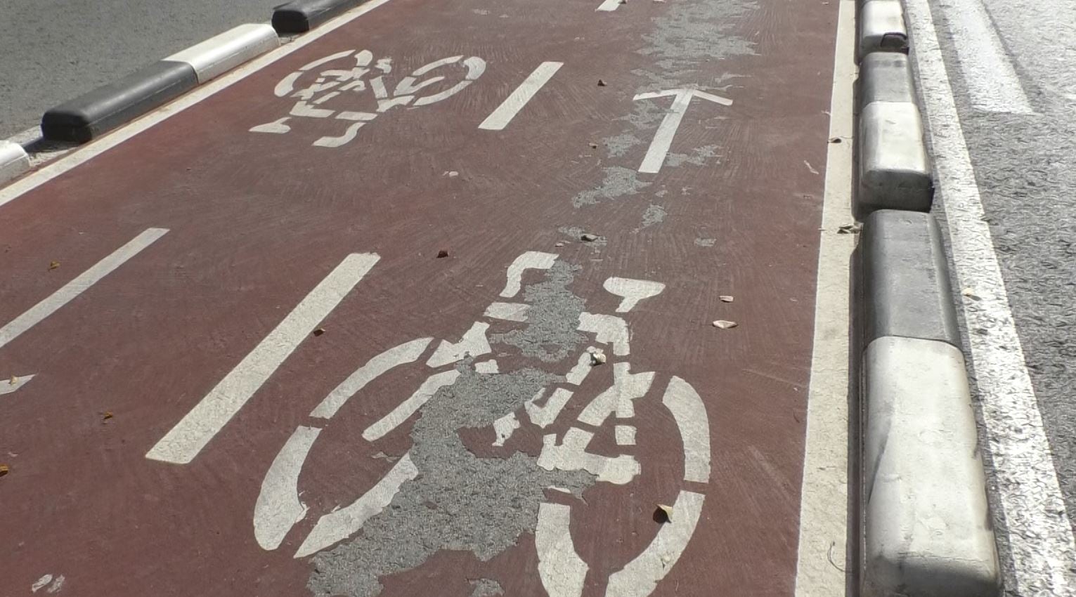 Defectos en el carril bici de la Avenida de Alicante (Elche)