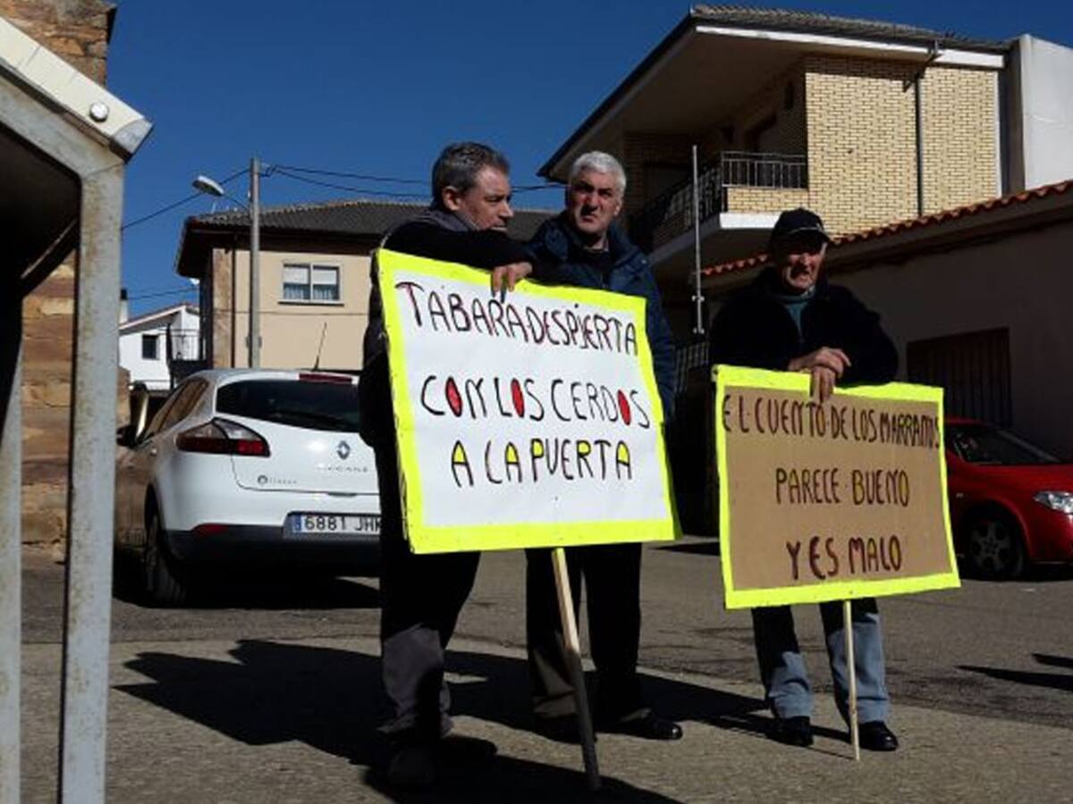 Los colectivos anti-macrogranjas ante las elecciones del 13-F