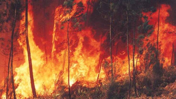 MENTE INQUIETA, domingo 24-06-18