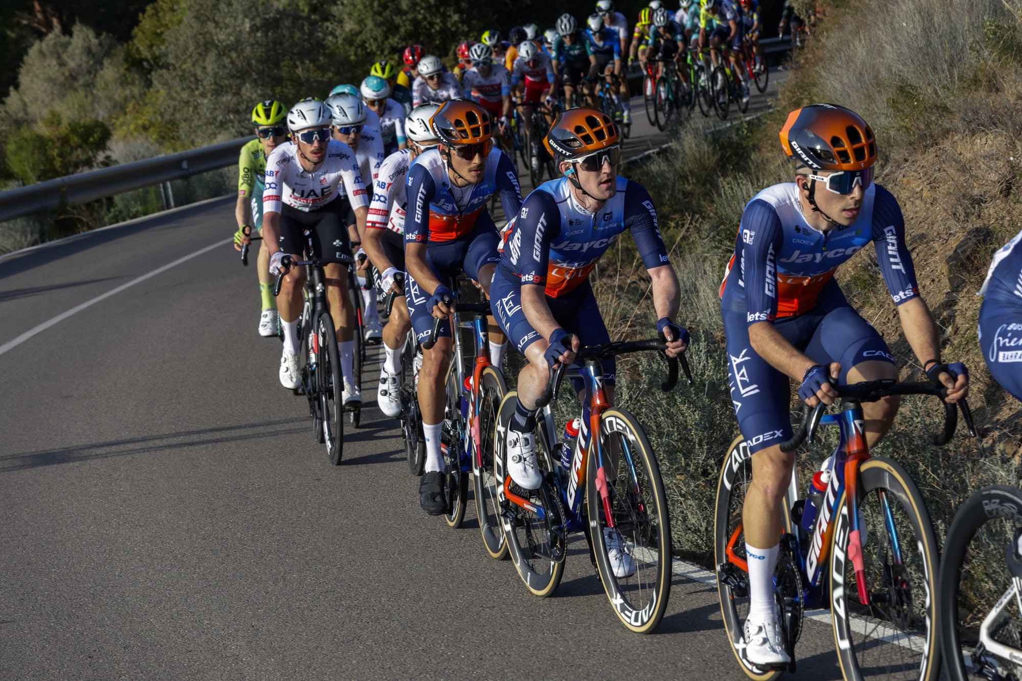 Vuelta a la Comunitat Valenciana 2024 - 75th Edition - Benicàssim - Castellòn 167 km - 31/01/2024 -Eddie Dunbar (IRL - Team Jayco AlUla) - photo Luis Angel Gomez/SprintCyclingAgency©2024