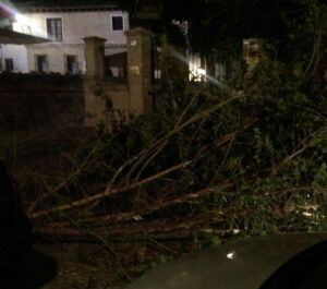 Las ramas caídas en la Subida de la Granja en Toledo