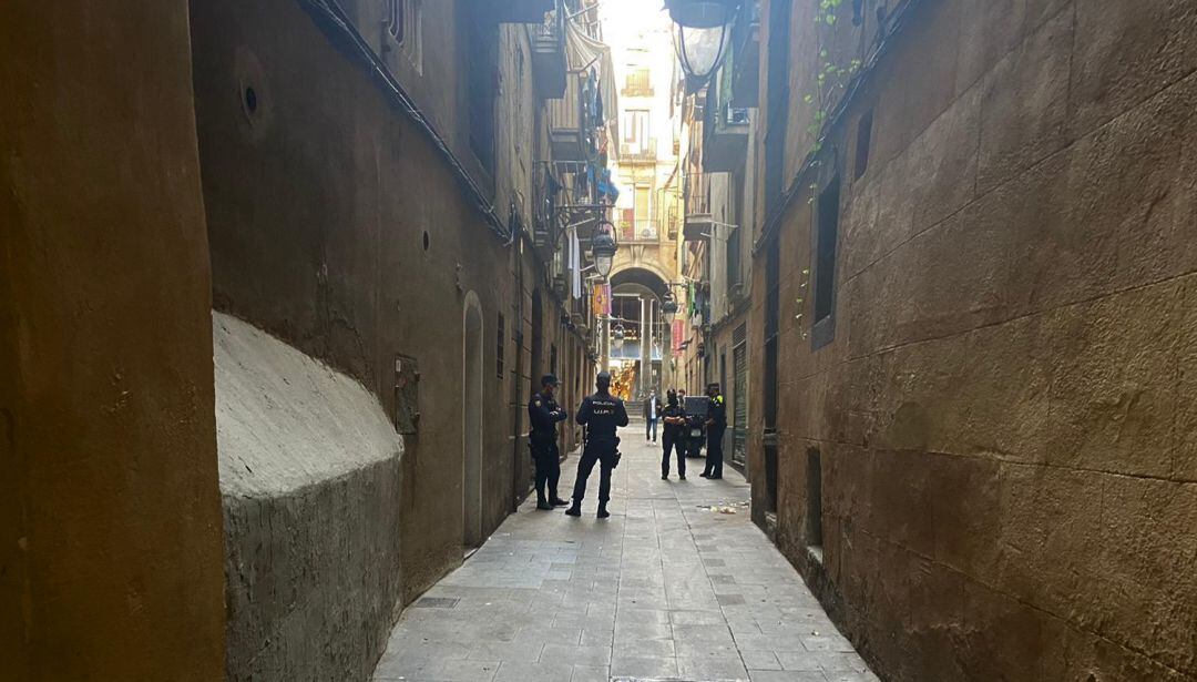 Un miler d'agents de diferents policies s'han desplegat al barri del Raval de Barcelona