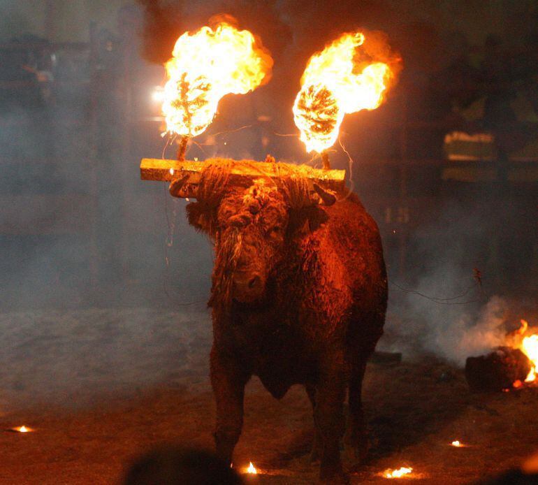 Toro Jubilo de Medinaceli