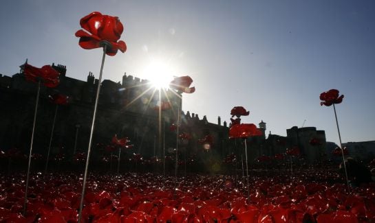 La Torre de Londres está arropada por un manto de amapolas de cerámica