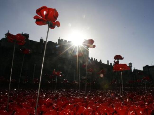 La Torre de Londres está arropada por un manto de amapolas de cerámica