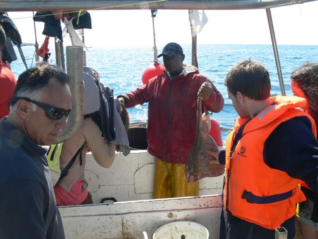 Turistes a la coberta d'un vaixell de pesca