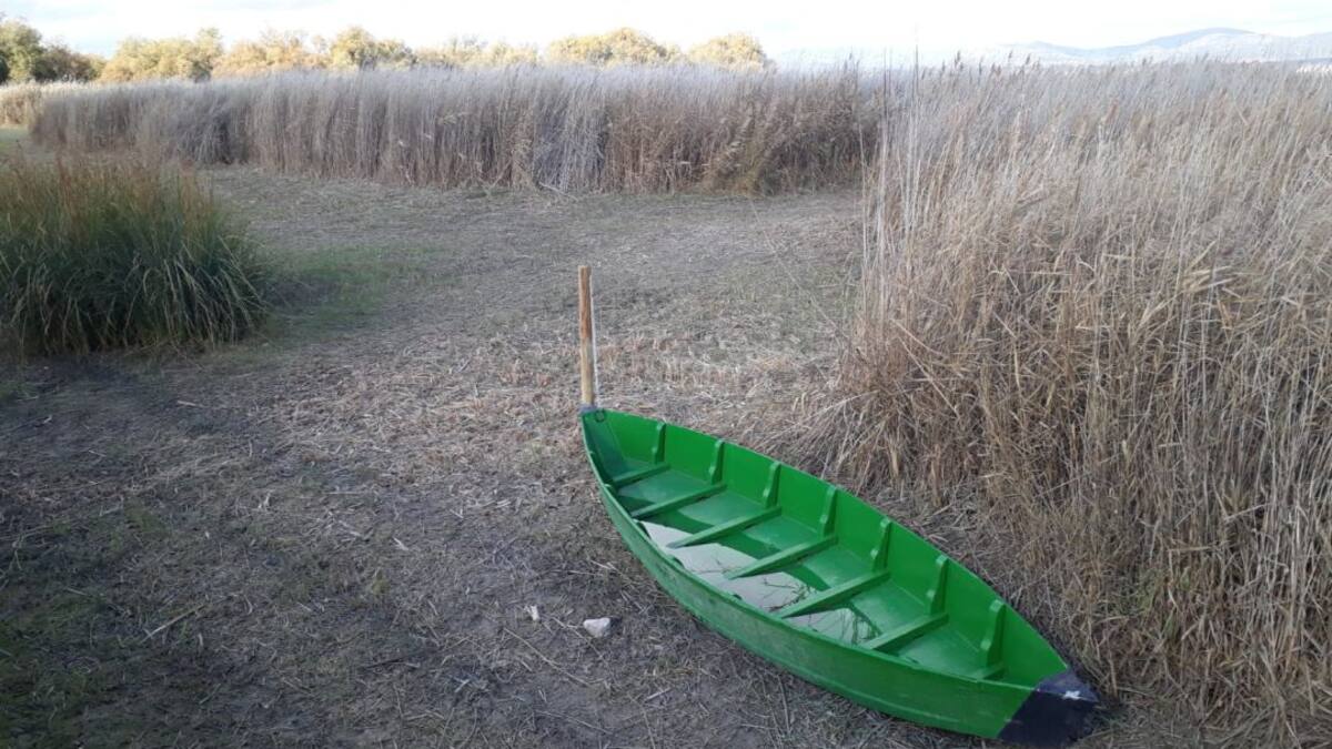 "La situación de Las Tablas es preocupante pero no alarmante"