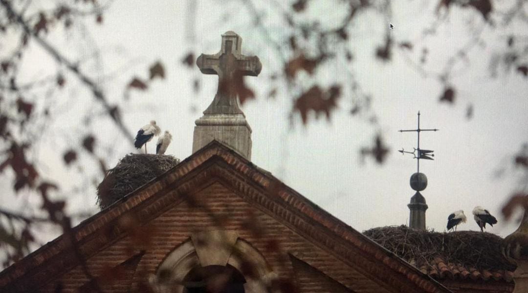 Nidos de cigüeña sobre el Oratorio de San Felipe Neri de Alcalá de Henares