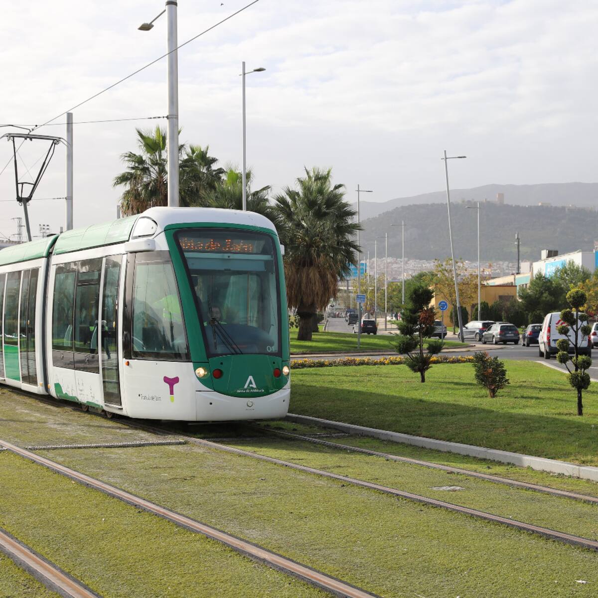 El tribunal rechaza el recurso de Alsa y desbloquea la adjudicación del contrato del tranvía de Jaén