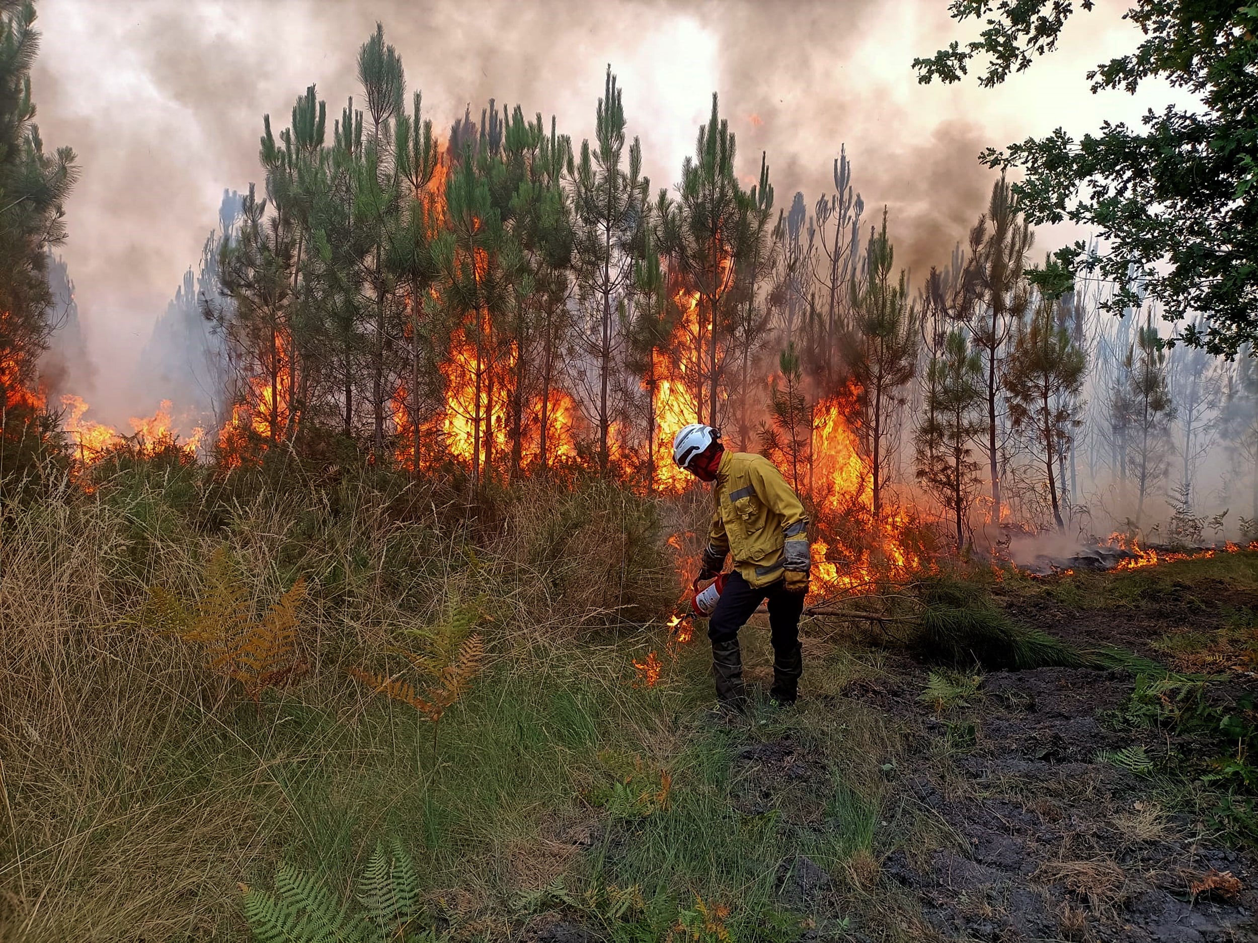 Imagen de archivo de un incendio