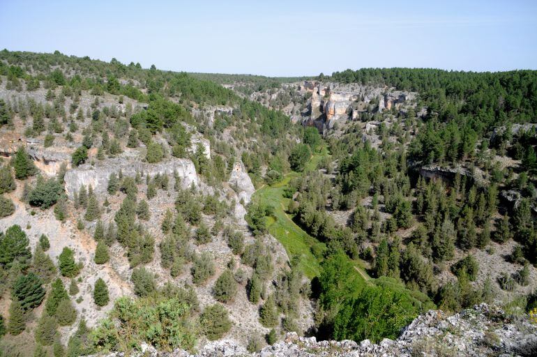 Vista del monte de socios de Herrera de Soria, en el alto del parque natural Cañón del Río Lobos.