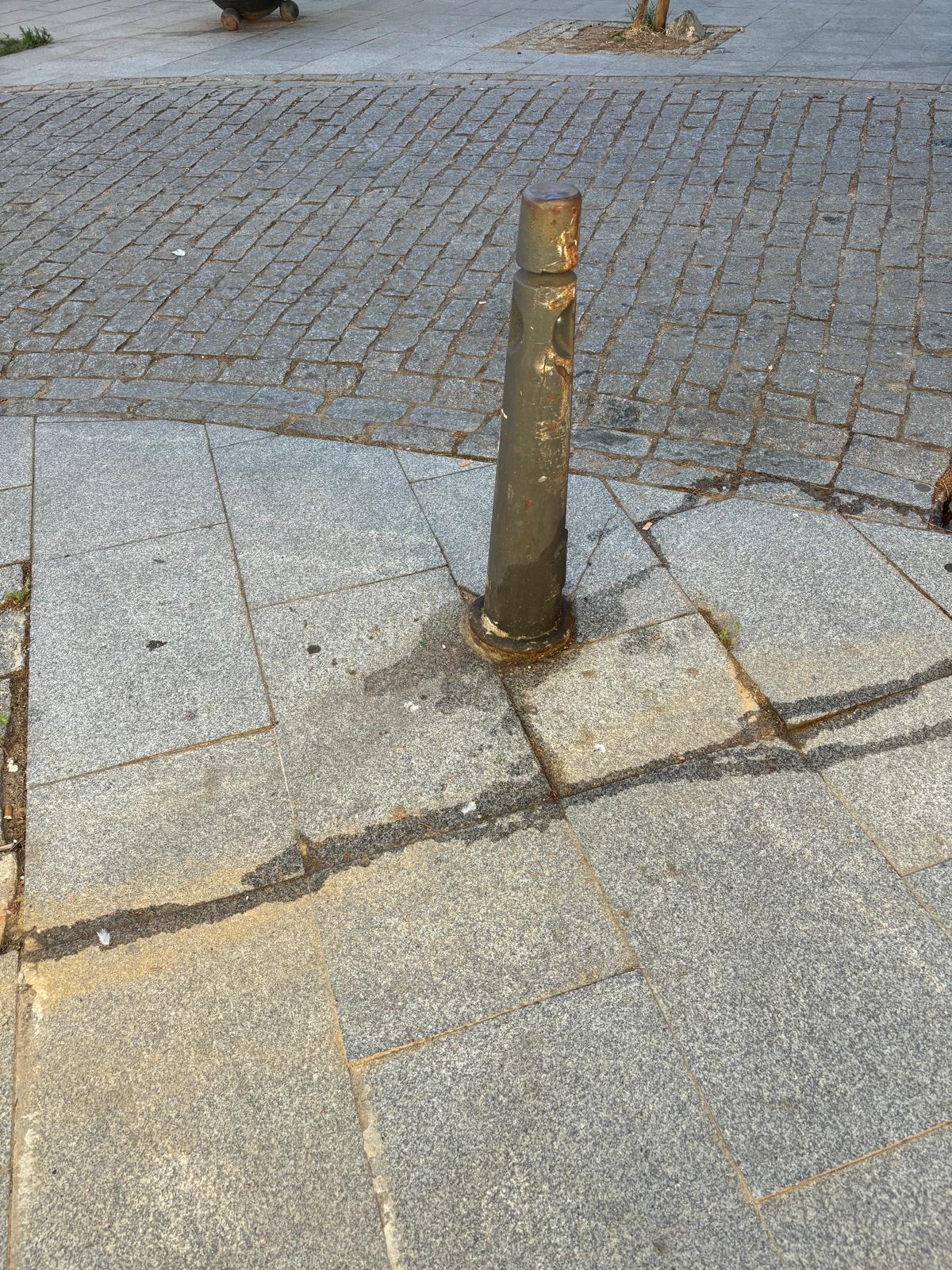 Micciones caninas en las calles de Mérida