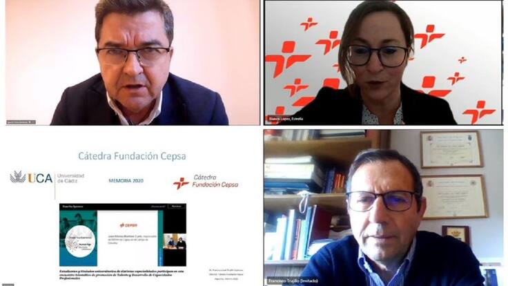 FUNDACION CEPSA- CÁTEDRA