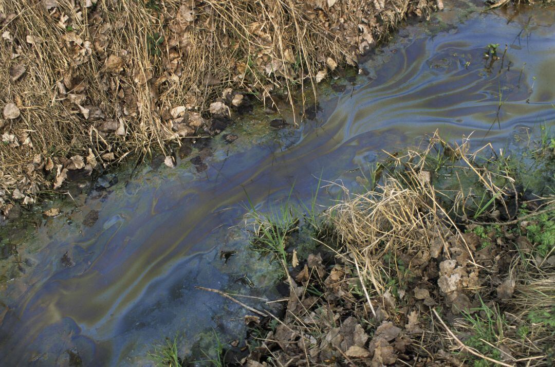 Imagen de archivo de agua contaminada