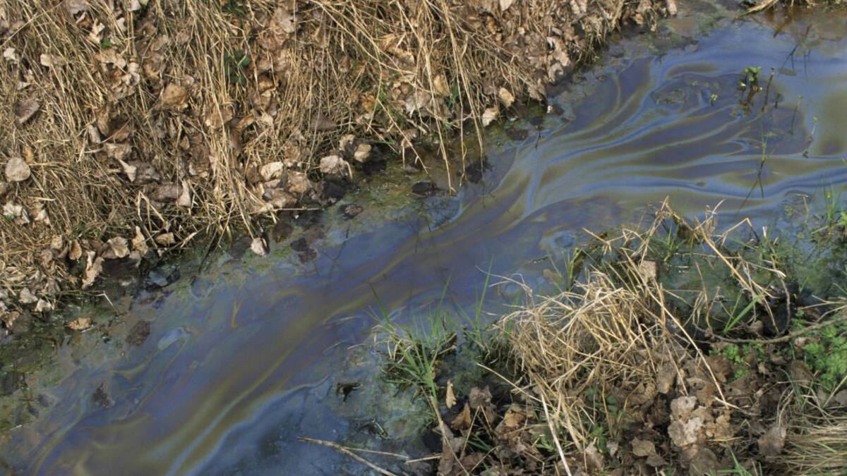 Orihuela denuncia vertidos "tóxicos" en el río Segura procedentes de Murcia