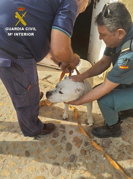 Operación de la Guardia Civil