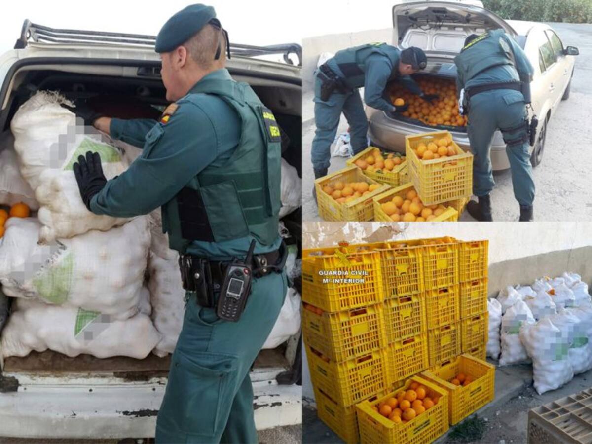 Detenidos cuando huían con dos toneladas de naranjas... en el maletero