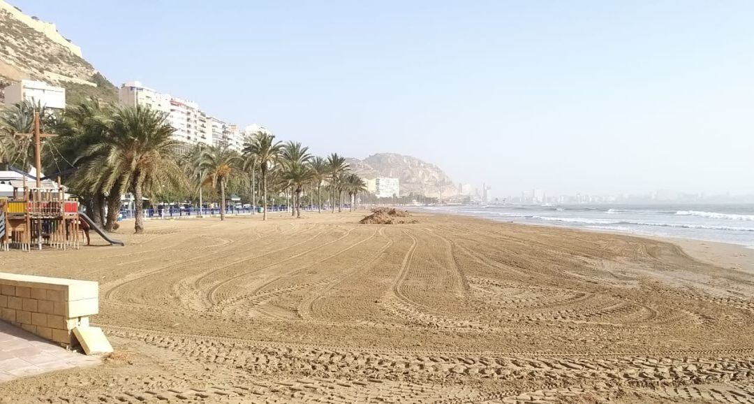 La playa del Postiguet tras la actuación del dispositivo especial de limpieza