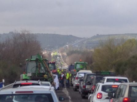 Protesta por el olivar jiennense en la A32.