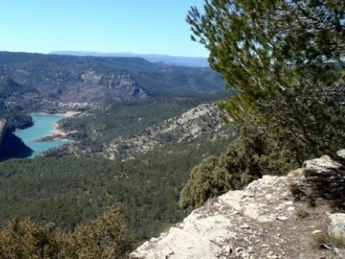 ¡A correr como las cabras!