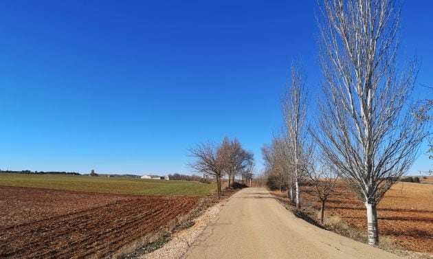 El sendero PR-Cu 122 sigue por otros caminos manchegos.