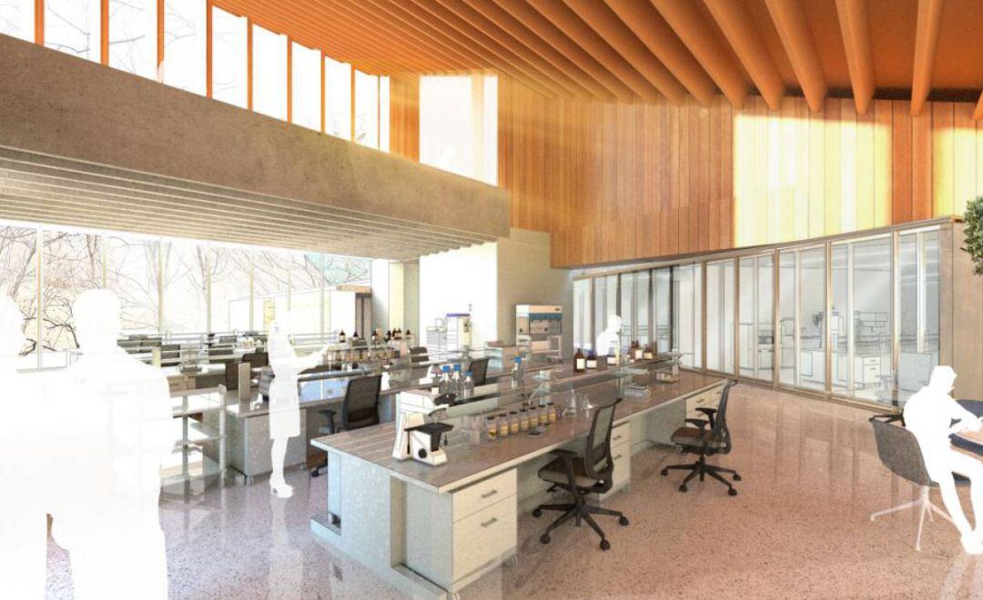 La Batllia hadmet a tràmit la demanda d'Enric Dolsa contra el pacte de socis entre el Govern i Grífols