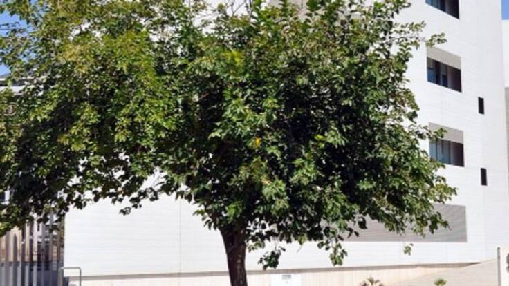 Entrevista La Ventana (08/06/2020) - Alejandro Rico