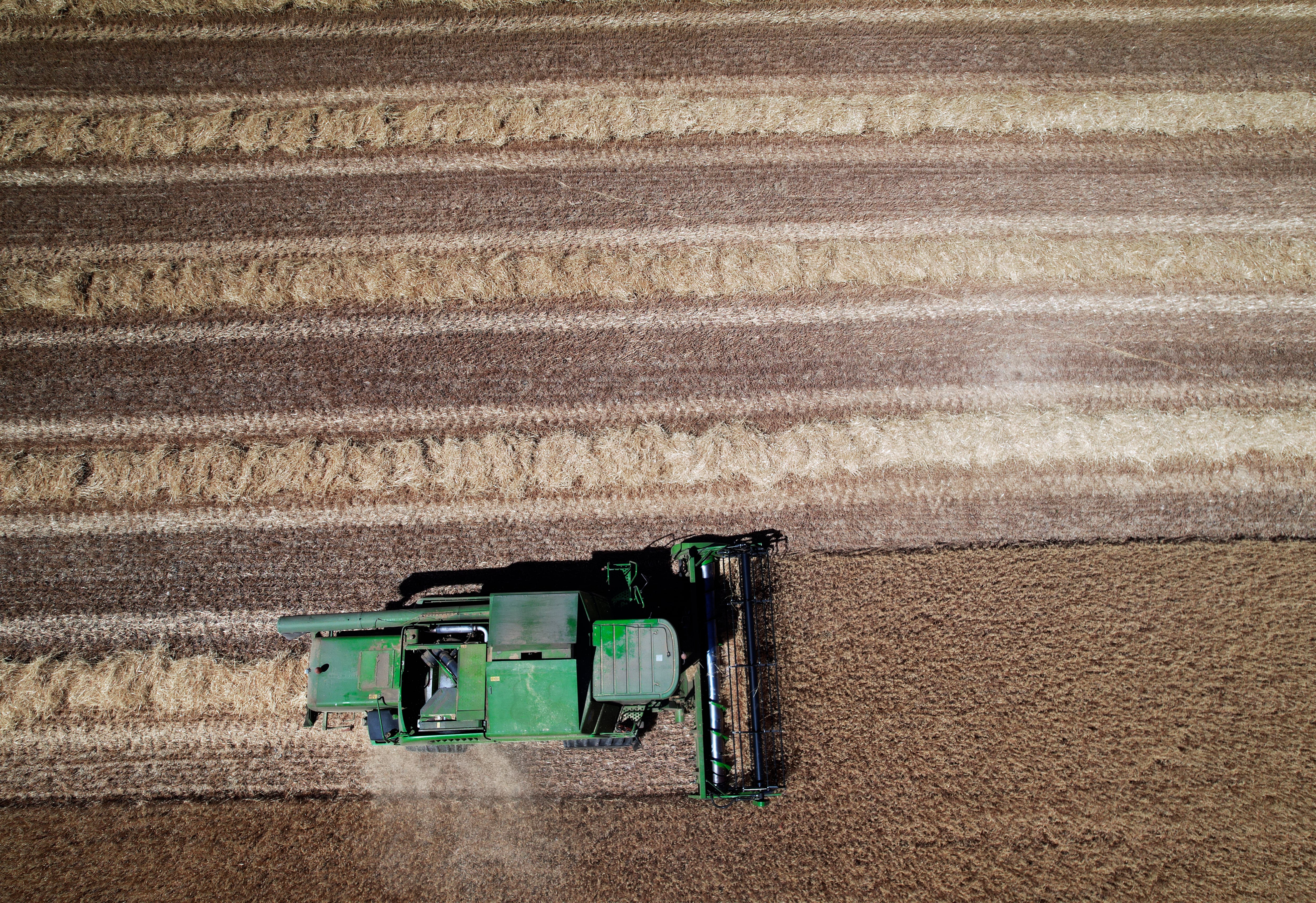 ECAY DE LONGUIDA, 04/07/2022.- Imagen tomada desde un dron de una máquina cosechadora mientras recoge cereal en un campo. Navarra endurece desde este lunes la normativa y prohíbe realizar trabajos agrícolas y forestales a partir de 35 grados. El Gobierno aprueba la orden foral para limitar los trabajos con maquinaria susceptible de generar incendios forestales. El Departamento de Desarrollo Rural y Medio Ambiente delimita así las situaciones de calor extremo a partir de las cuales no se pueden realizar trabajos agrícolas y forales. La nueva normativa plantea la inclusión de una serie de limitaciones a las labores agrícolas y forestales realizadas en periodo estival con maquinaria susceptible de generar incendios forestales (como cosechadoras, empacadoras, trituradoras de paja, bulldozer, retroexcavadoras, procesadoras y autocargardores forestales entre otras). EFE/ Jesús Diges
