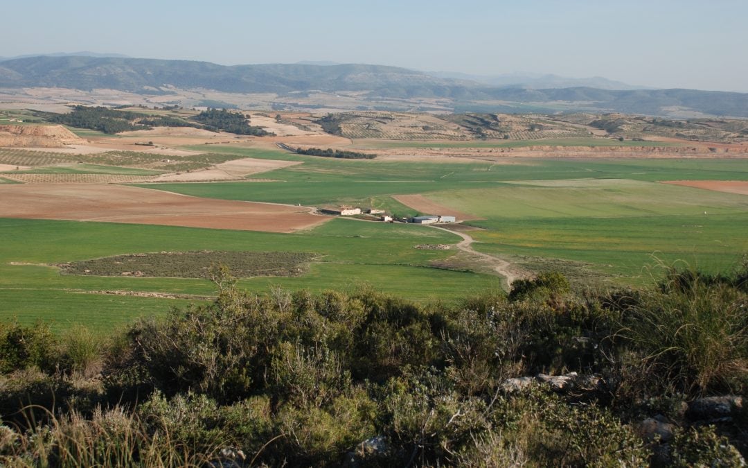 Imagen del término de Villena
