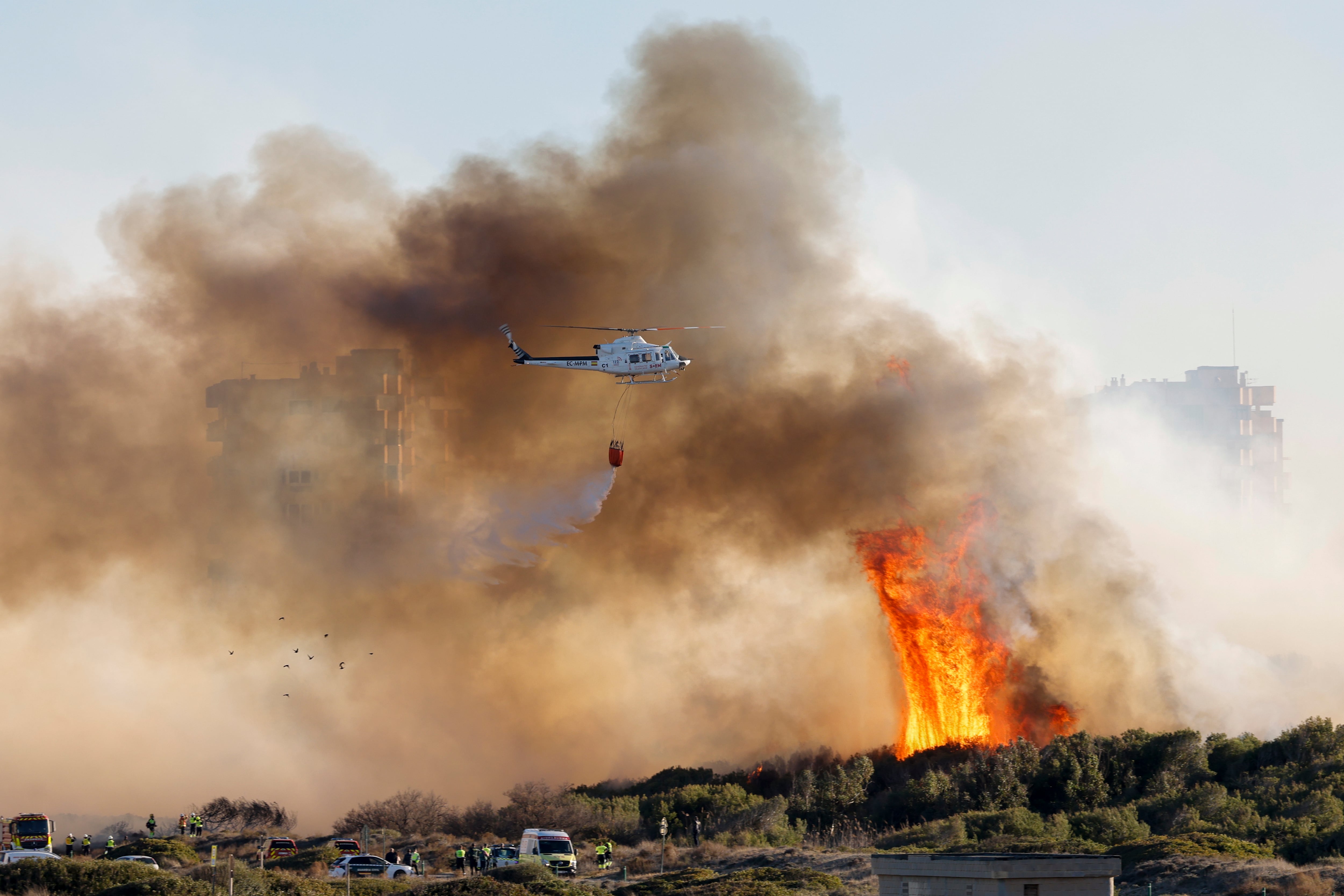 Incendio forestal en El Saler