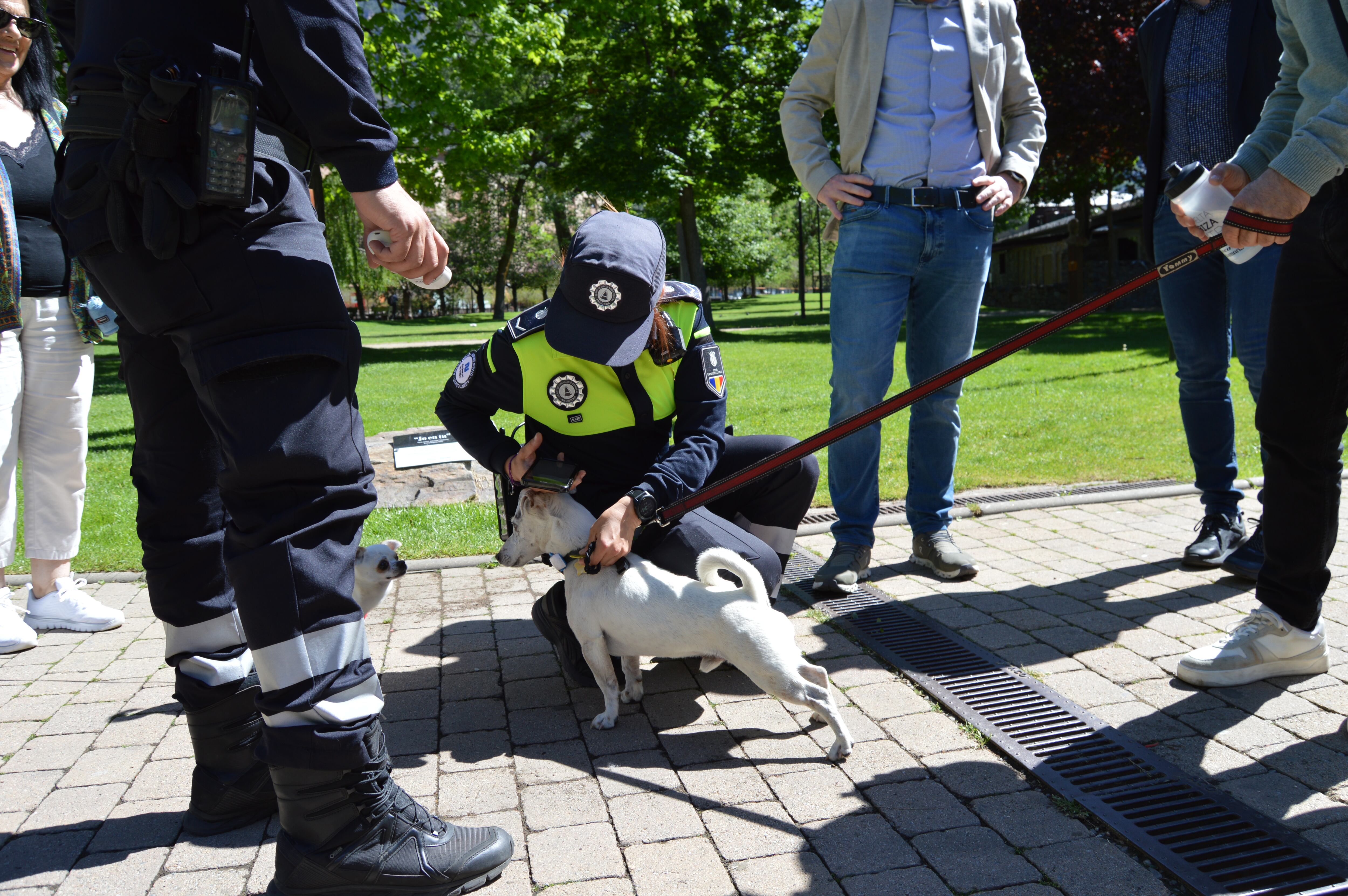 Els agents cívics del comú d'Andorra la Vella conversen amb el propietari d'un gos.