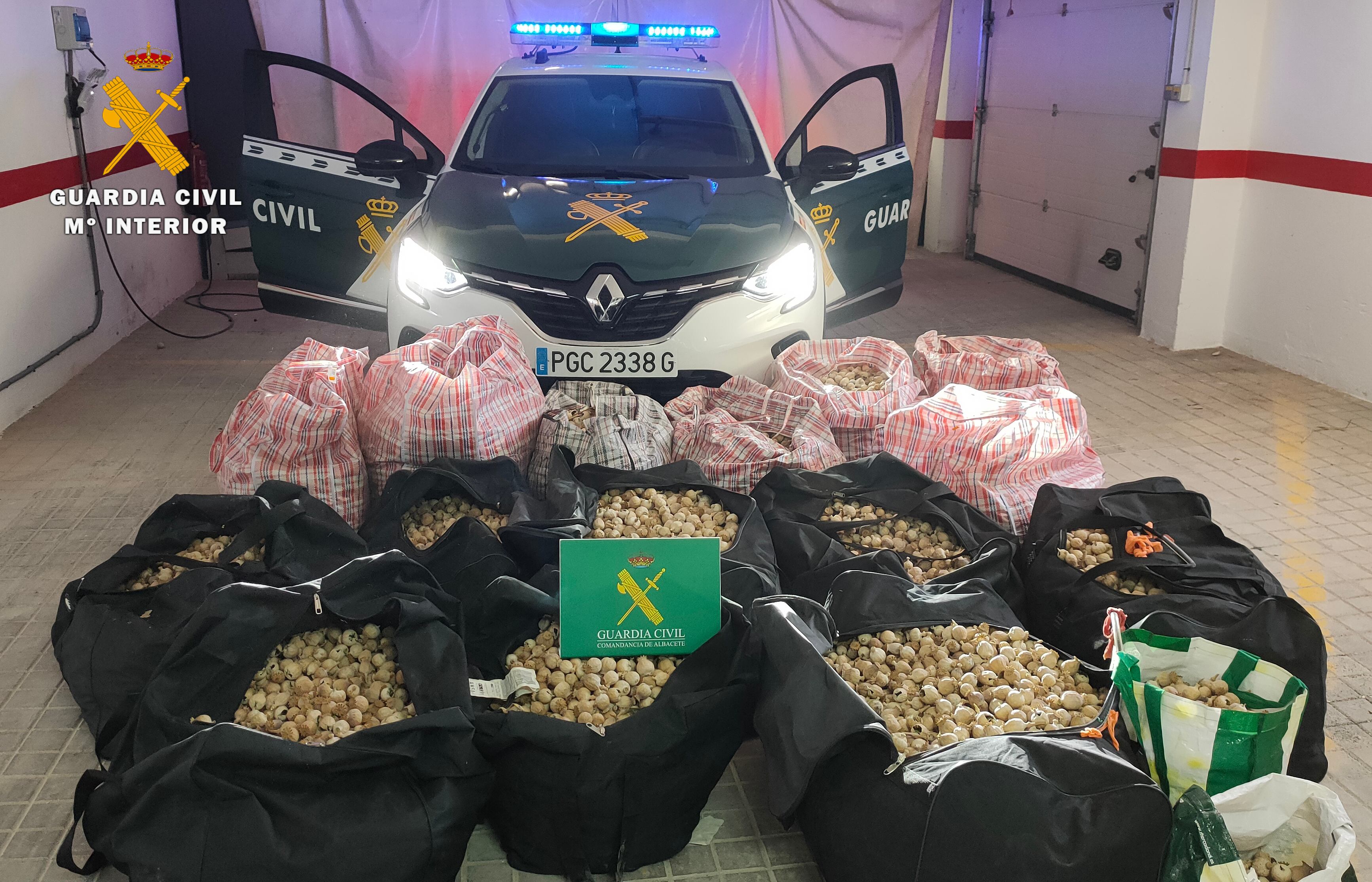 Imagen de la droga incautada