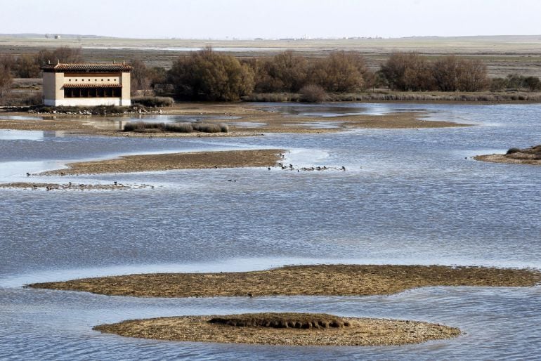 La sequía ha provocado que la reserva natural de las Lagunas de Villafáfila, ubicada en la provincia de Zamora y que constituye uno de los humedales más importantes de Castilla y León, viva esta primavera un año de cría de aves &quot;desastroso&quot;. 