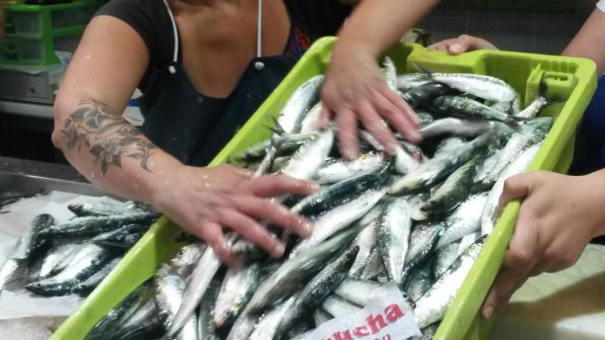 Las sardiñadas de la nueva normalidad (23/06/2020)