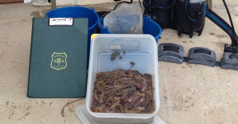 Portava un bibotella que li permetia estar molta estona a l'aigua.