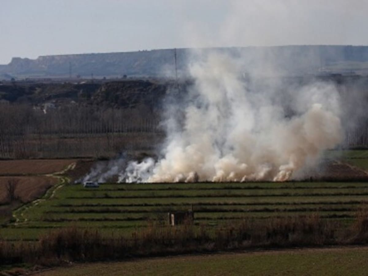 En Palencia Tierra de Campos "arde": denuncian la quema indiscriminada de sus últimos refugios naturales