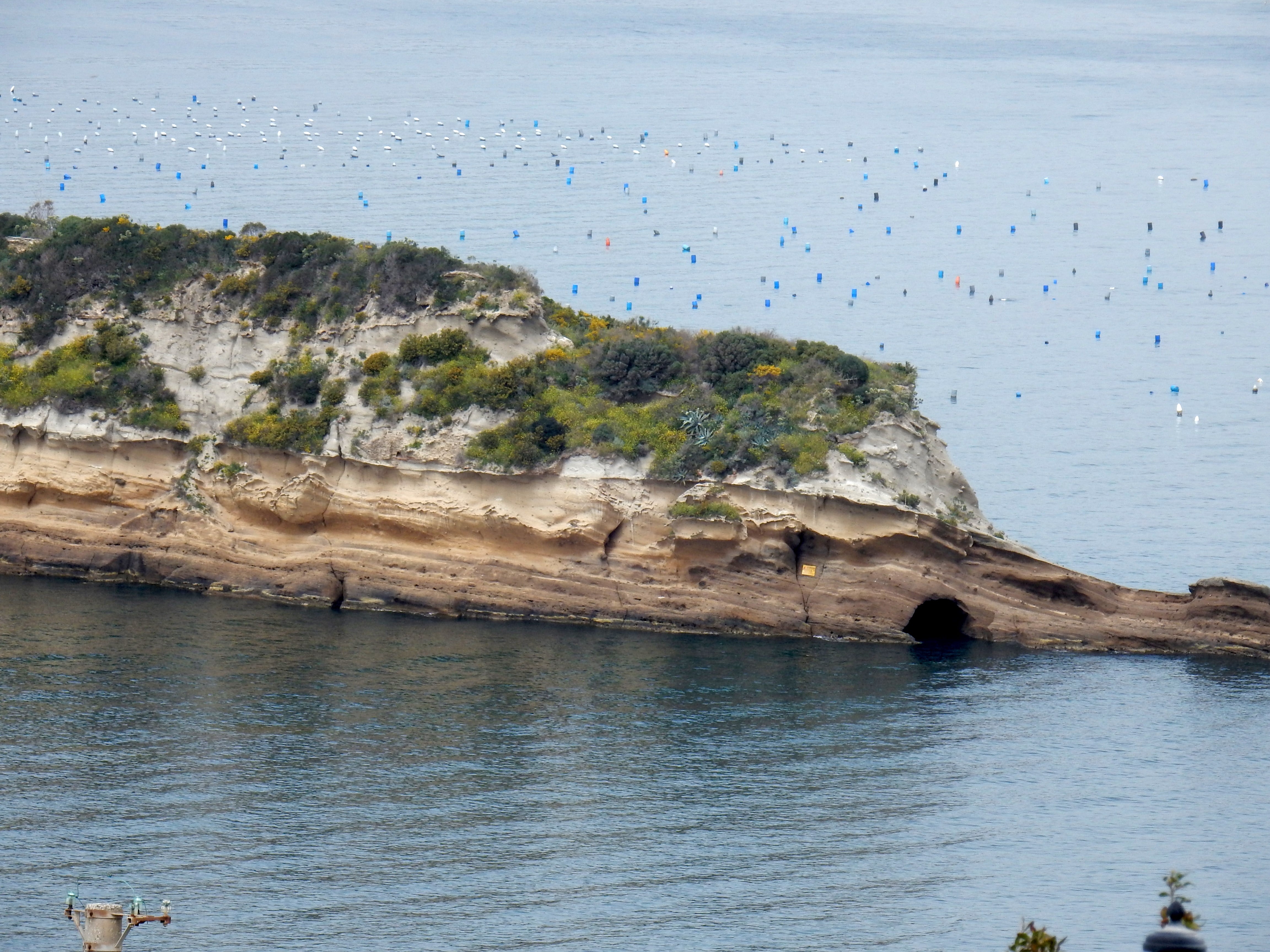 Punta Pennata